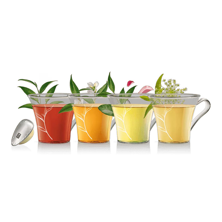 Thés & infusions